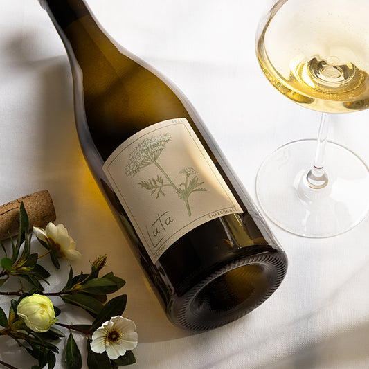 Cirrus Chardonnay 2023