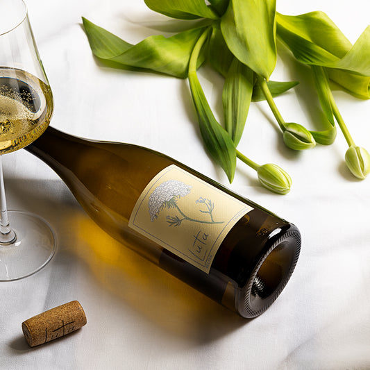 Echoes Chardonnay 2022