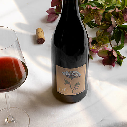 Shadow Pinot Noir 2022